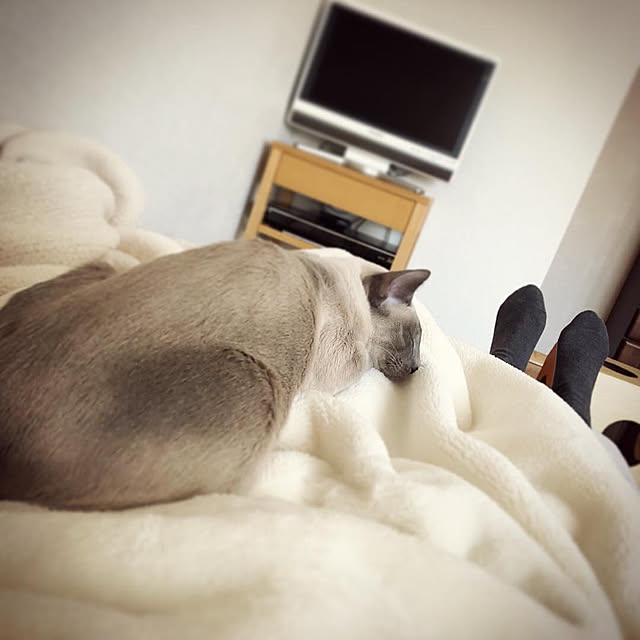 mujinekoさんの実例写真