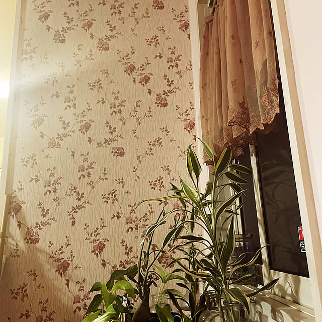 MegMerYさんの部屋
