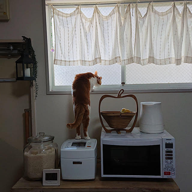 mugi77327732さんの実例写真