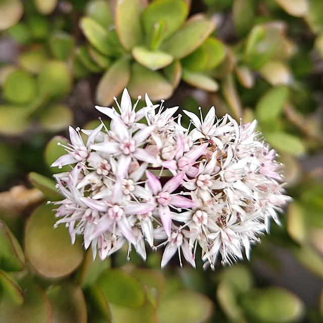 otibi.tt8787さんの部屋