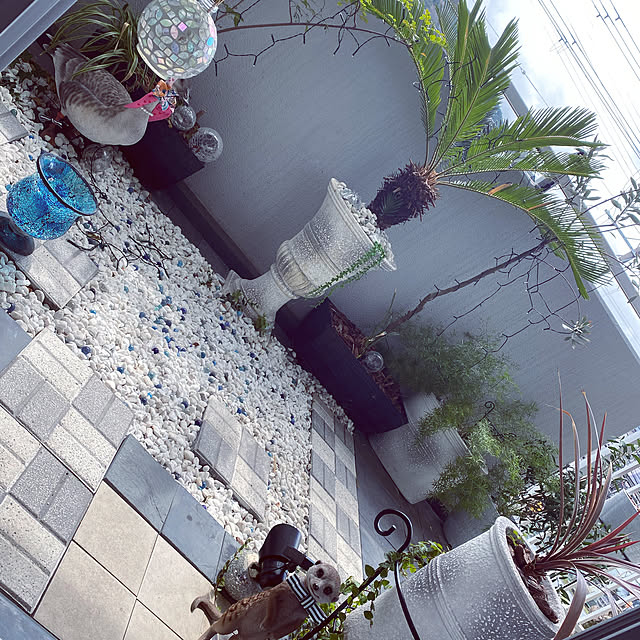 teddy.s2.teddyさんの実例写真