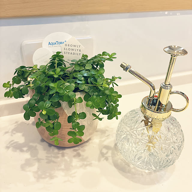 usakoさんの実例写真