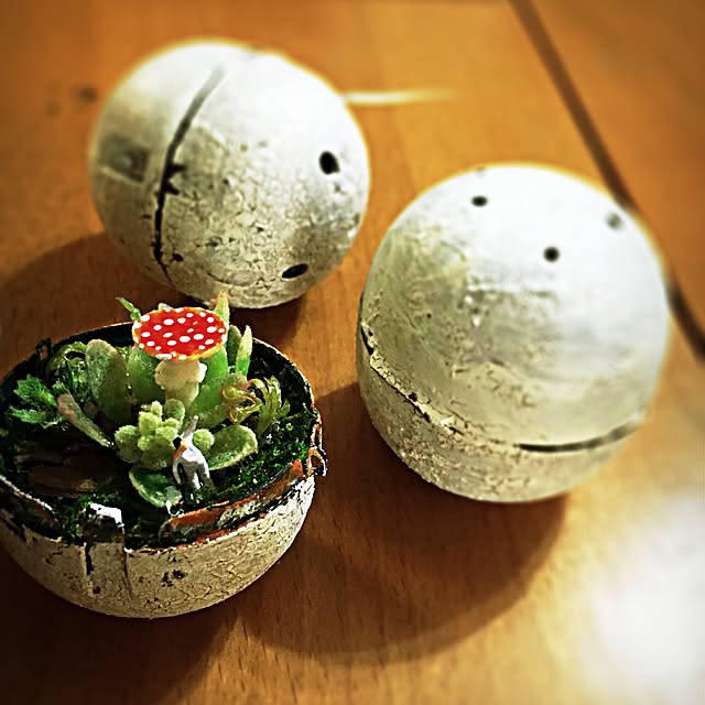 ramuchop3000さんの実例写真