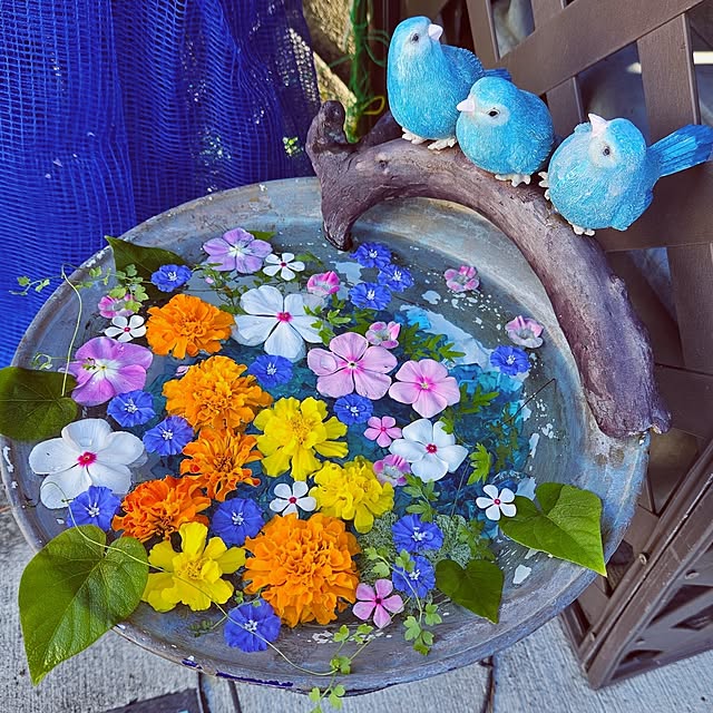 mocomocoさんの実例写真