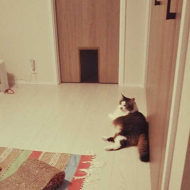 yucchiさんの実例写真