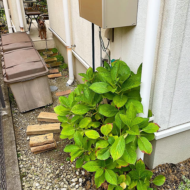 kuroさんの実例写真
