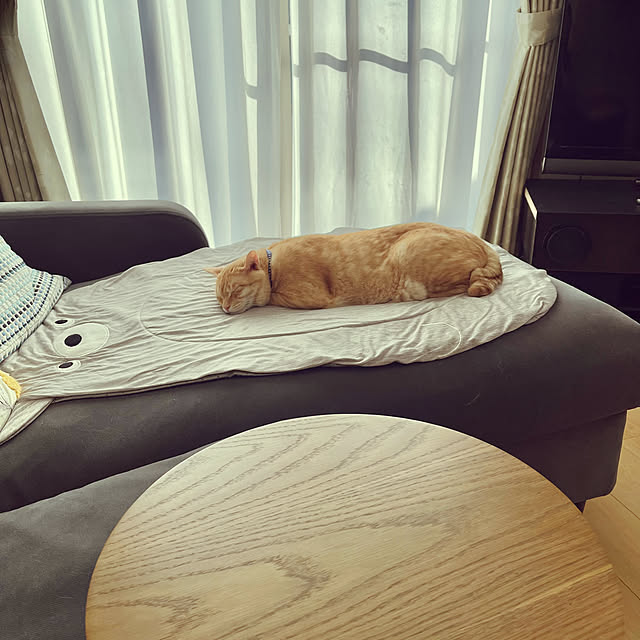 chiiさんの部屋