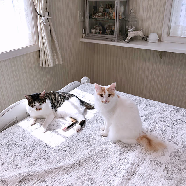 yuchiさんの実例写真