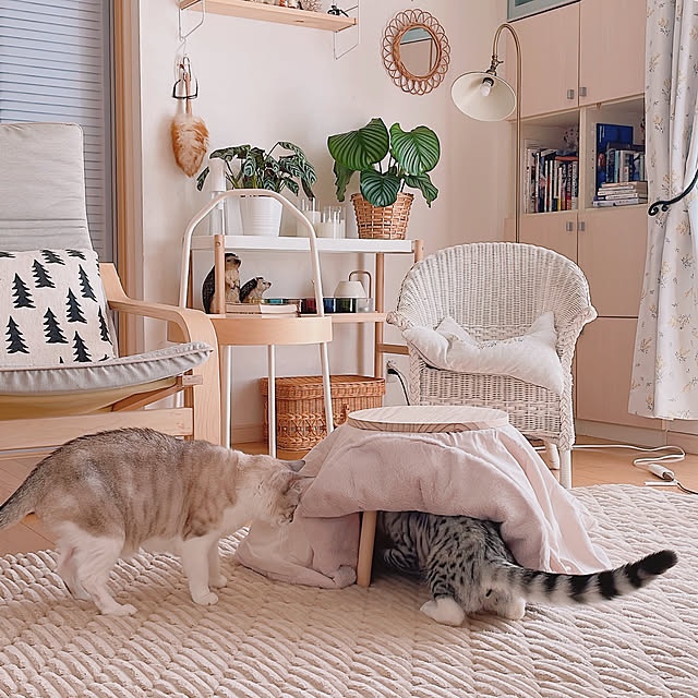 milkcocoaさんの部屋