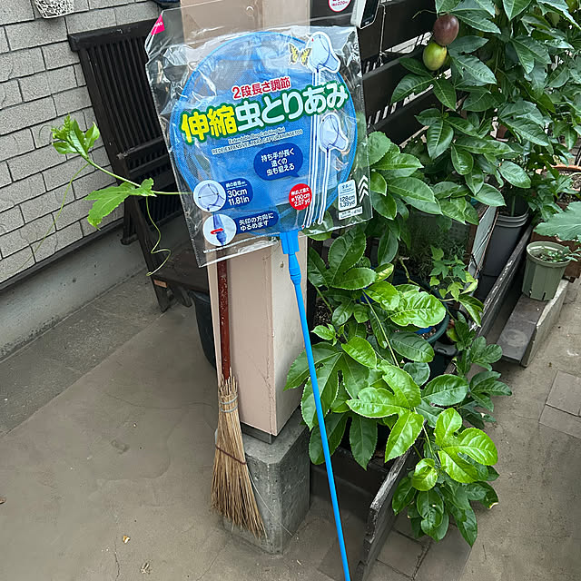 botanさんの実例写真
