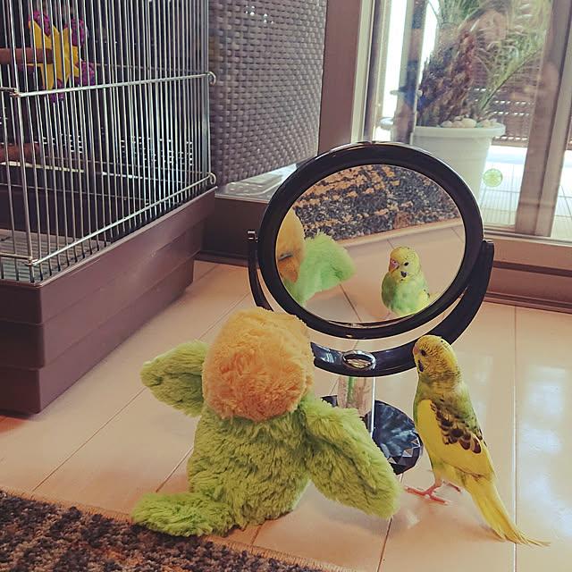 kyonさんの実例写真