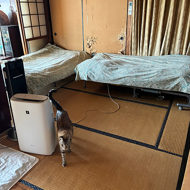 gecfrqxjjotjmdrtbgさんの実例写真