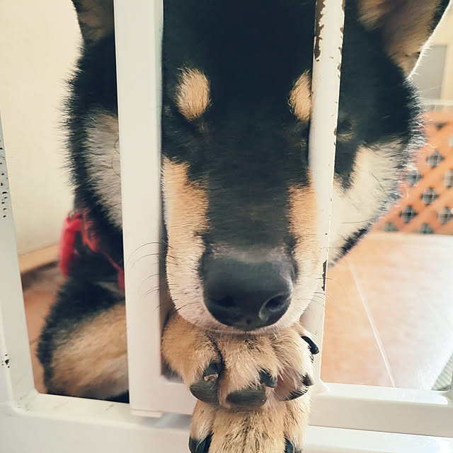 fruityanさんの実例写真