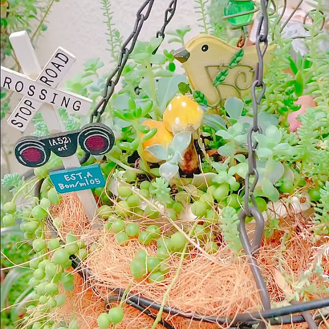 Hanakaさんの部屋