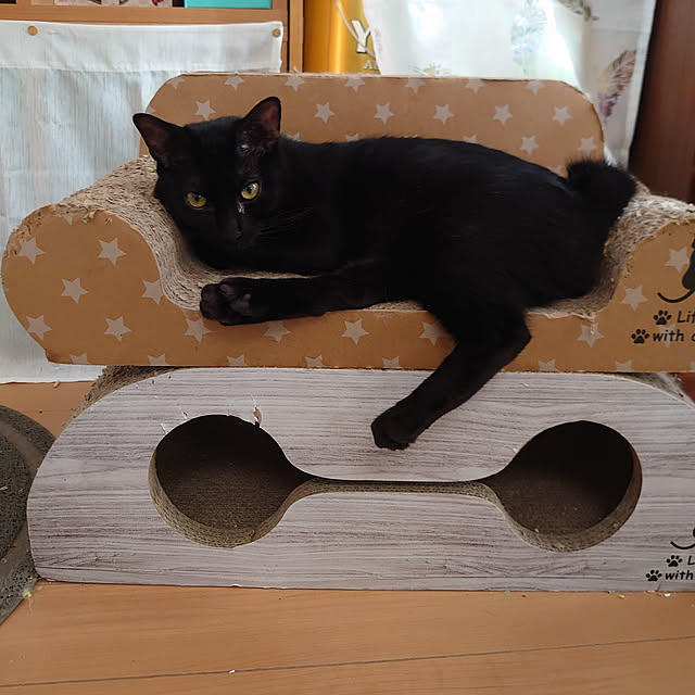 shinobuさんの実例写真
