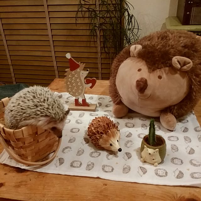tomominさんの実例写真