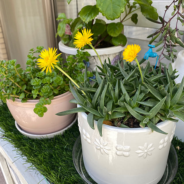 YuuKoさんの部屋