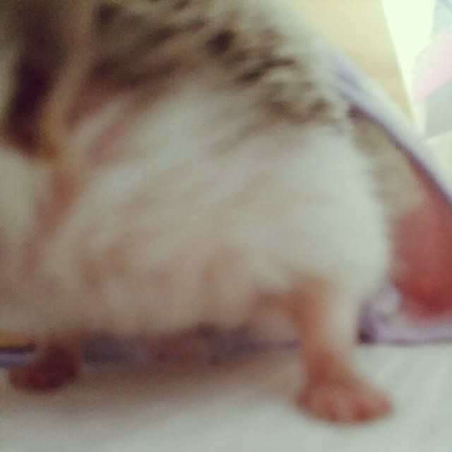 kuruさんの実例写真