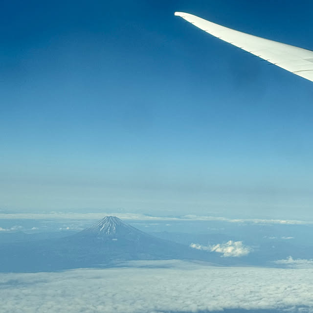 aureaさんの部屋