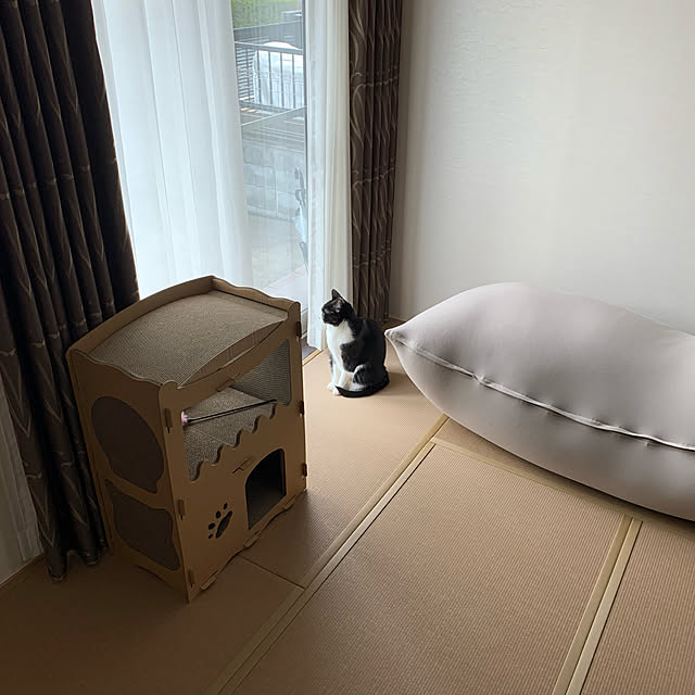 Sachiさんの実例写真