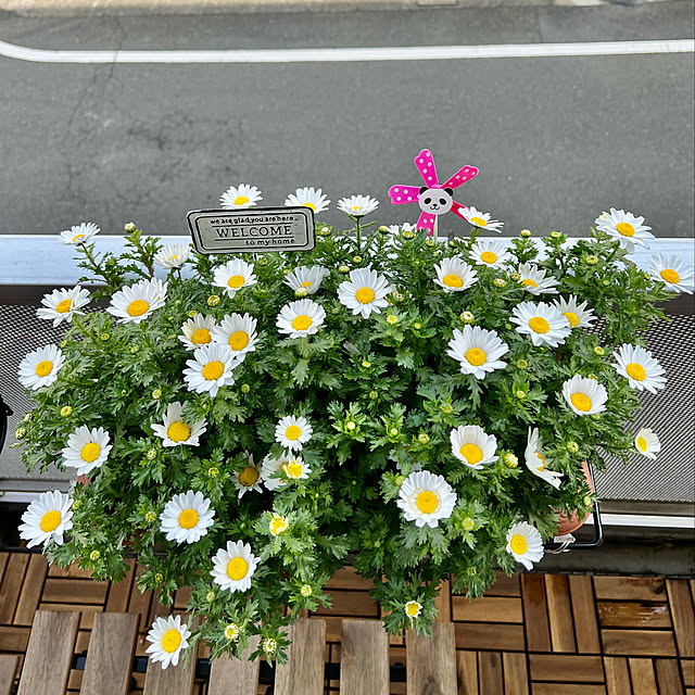 tnhungさんの実例写真