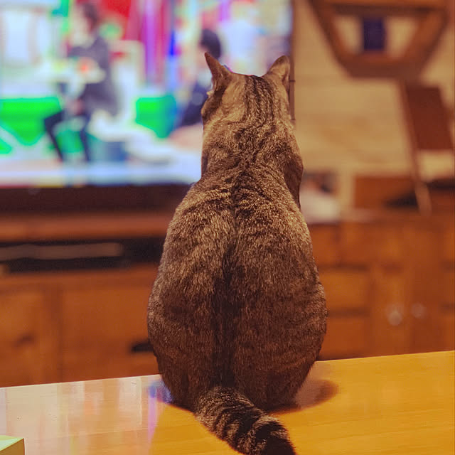SHINさんの実例写真
