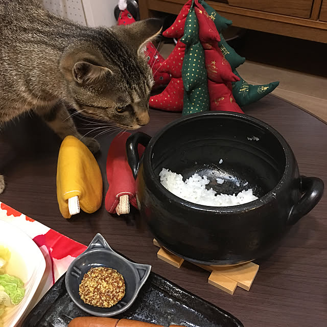 mikomaruさんの実例写真