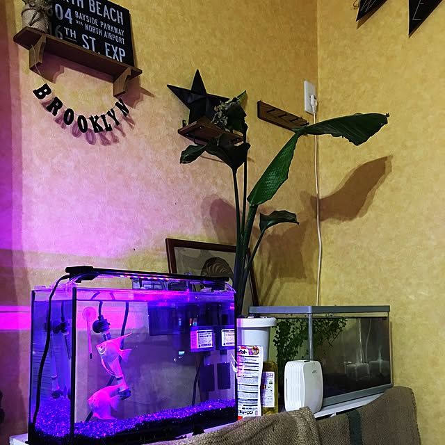 nanarikusoraさんの実例写真