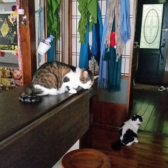 Anmituさんの実例写真