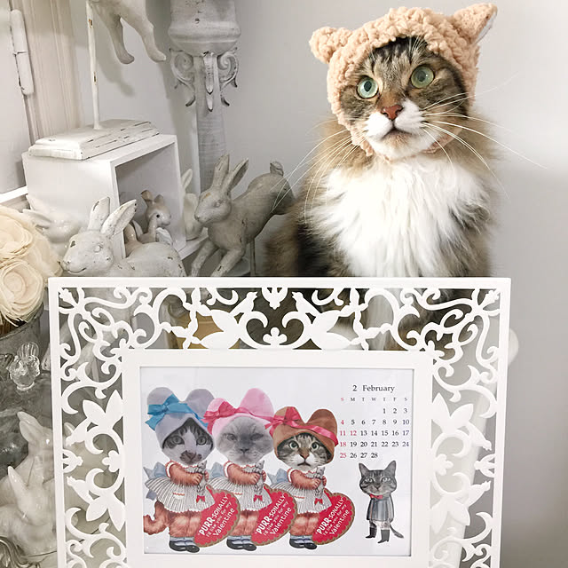 yuchiさんの実例写真