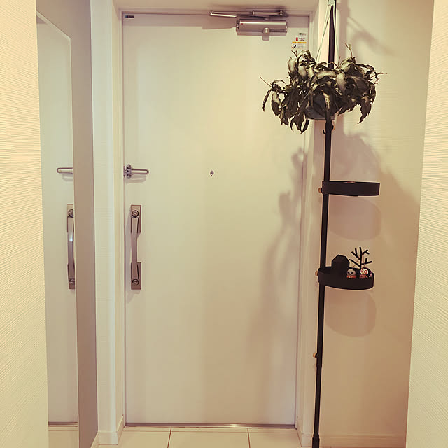 yamakanさんの実例写真