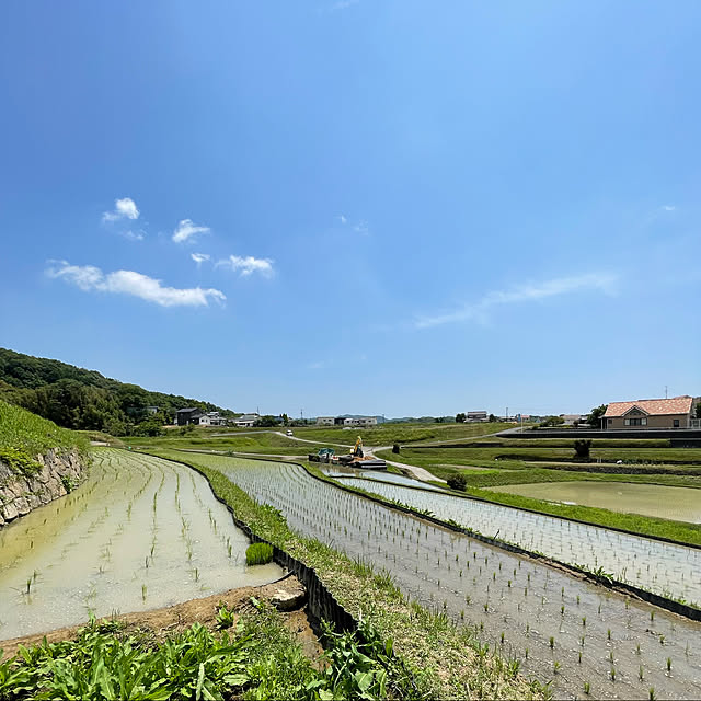 青空/田植え/初夏/逢/ベッド周り...などのインテリア実例 - 2022-06-12 13:15:43