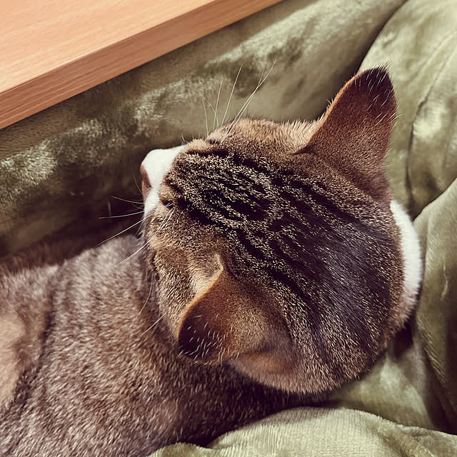 marinkarinさんの実例写真