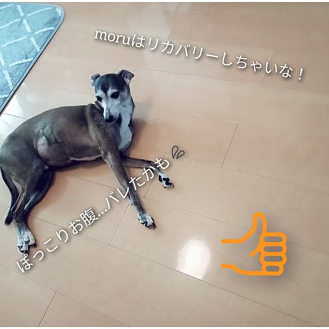 moruさんの部屋