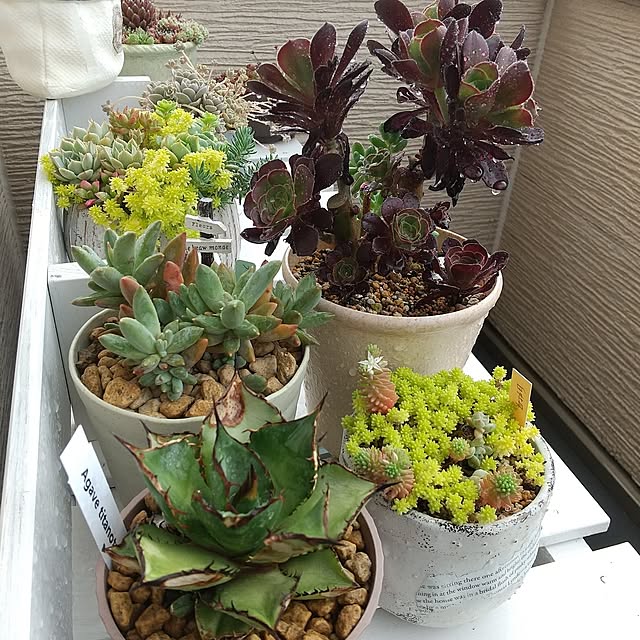 meiさんの部屋
