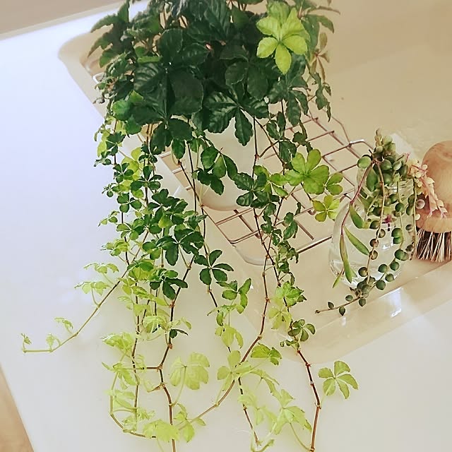 4-mamaさんの実例写真