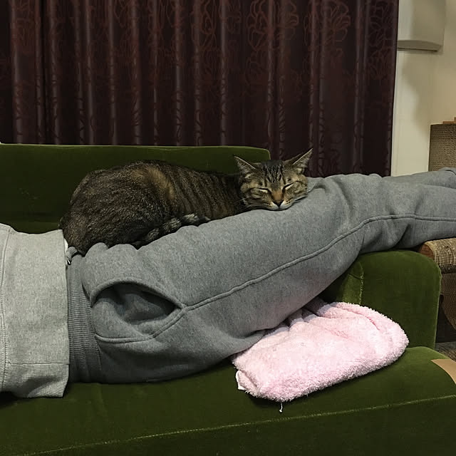 mikomaruさんの実例写真