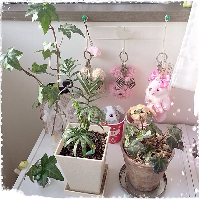atominaさんの実例写真