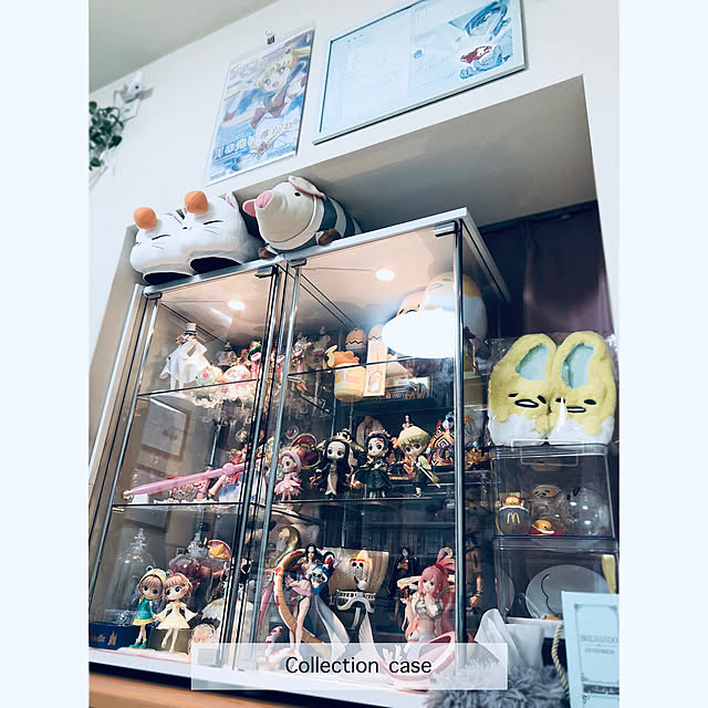 Amazon.co.jp: 不二貿易 コレクションケース フィギュアケース 3