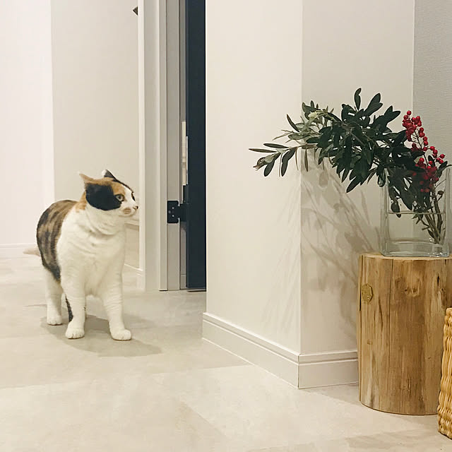 mtkさんの実例写真