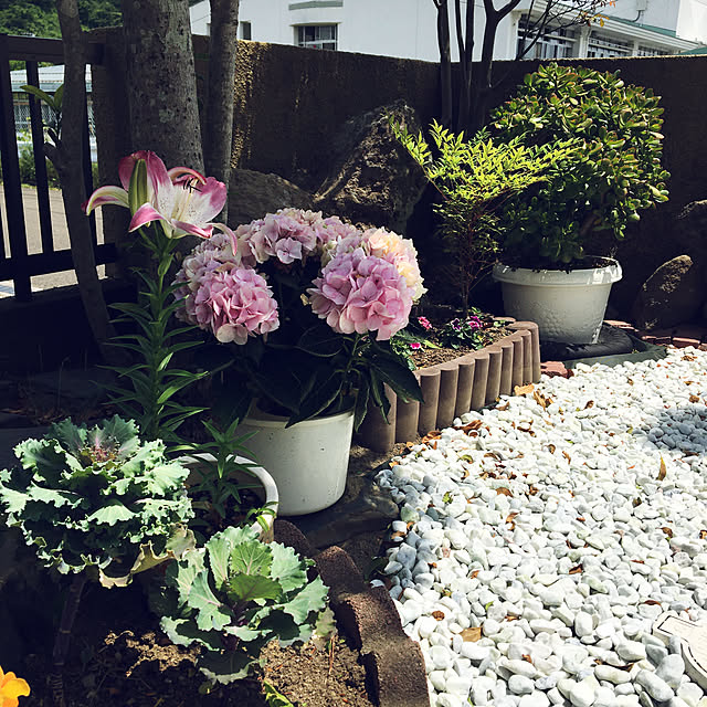 flowerさんの実例写真