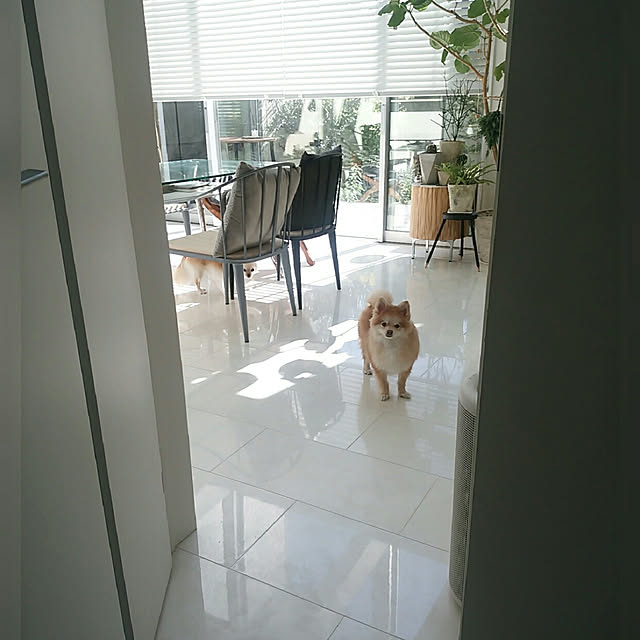 mi-さんの実例写真