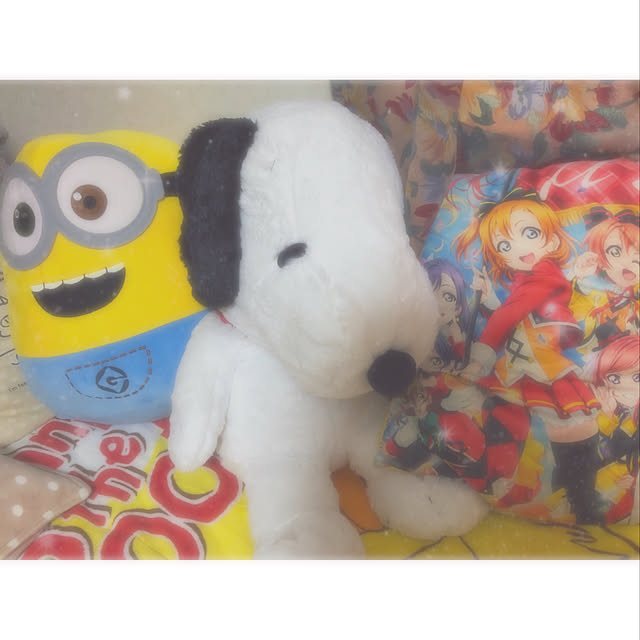 Yurikaさんの実例写真
