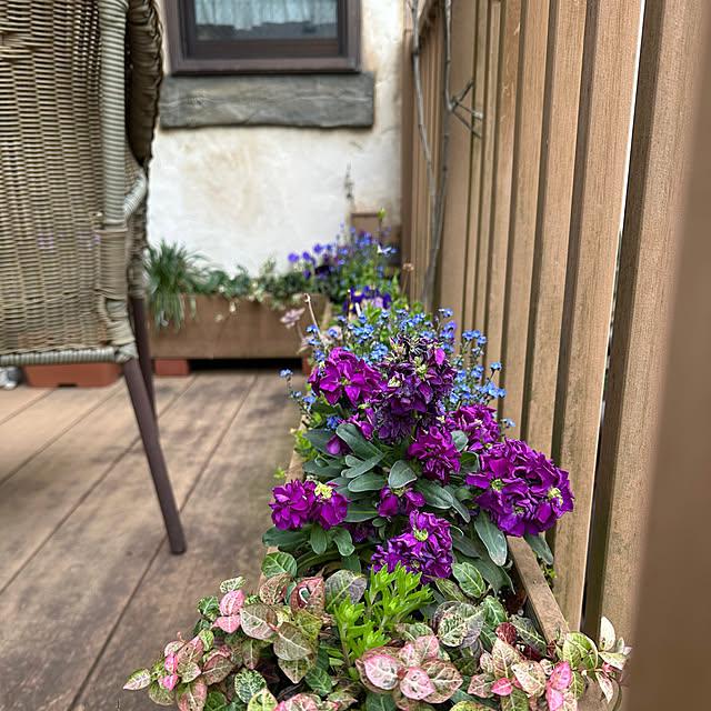 tabasaさんの部屋
