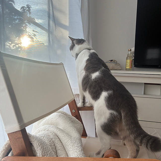 comiriさんの部屋