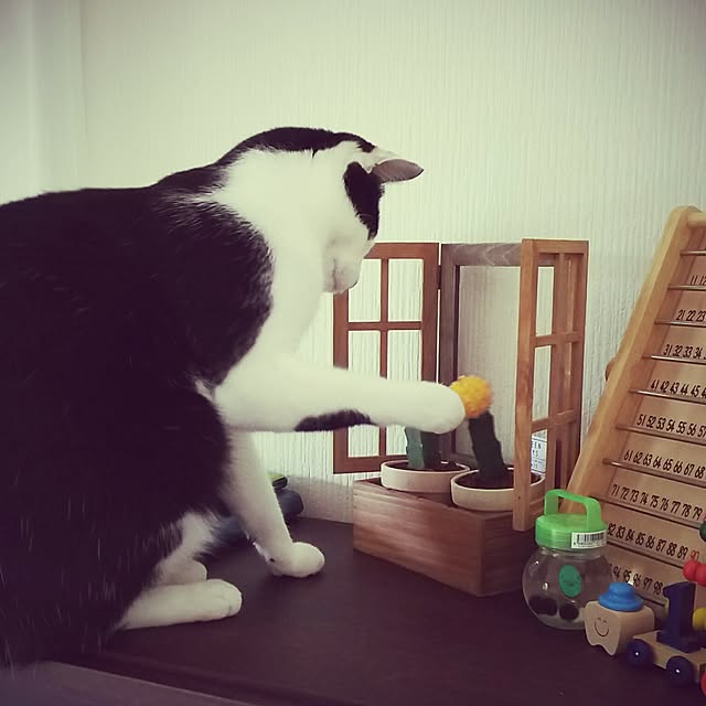 millsukeさんの実例写真