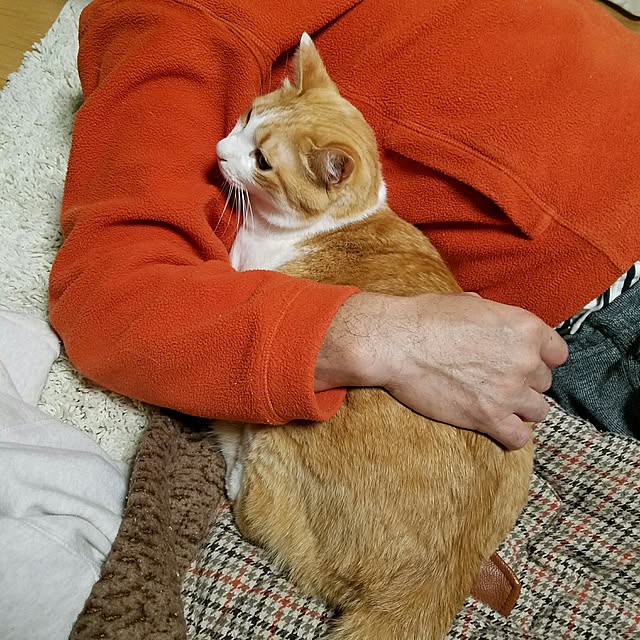 Kinanさんの実例写真