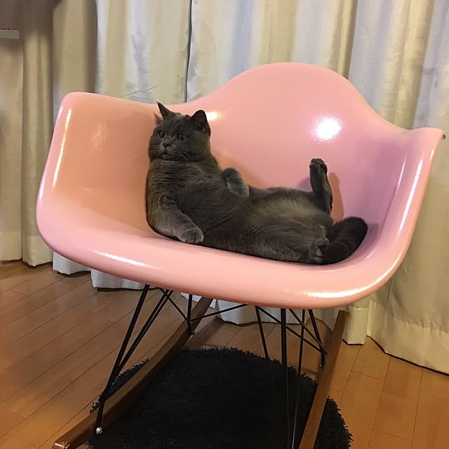Shojiさんの実例写真