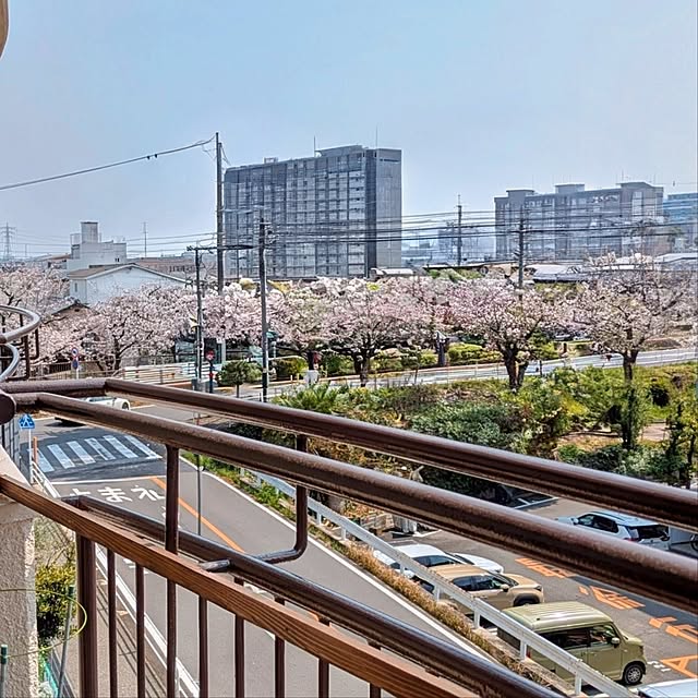 mi-saさんの部屋