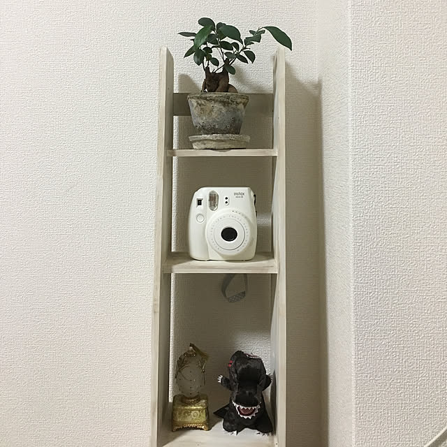 棚/観葉植物/カフェ風/ハンドメイド/アンティークのインテリア実例 - 2017-09-07 22:41:16
